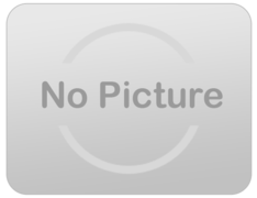 Contractor Dumpster Rentals